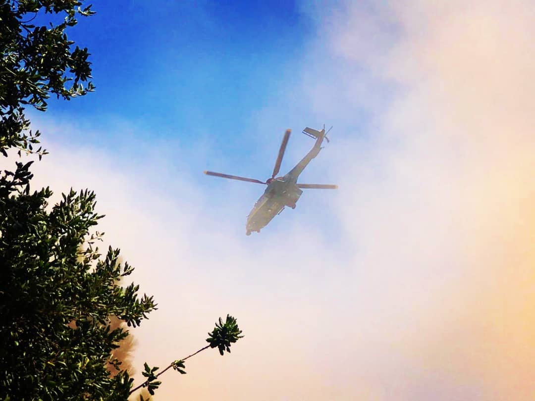 AltadenaMRT tweet media