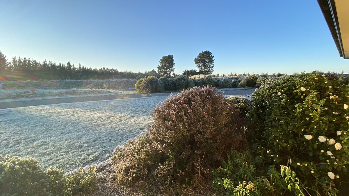 JohnRSmithAg's tweet photo. Great frost today looks like snow https://t.co/L0VJ5Q72wz