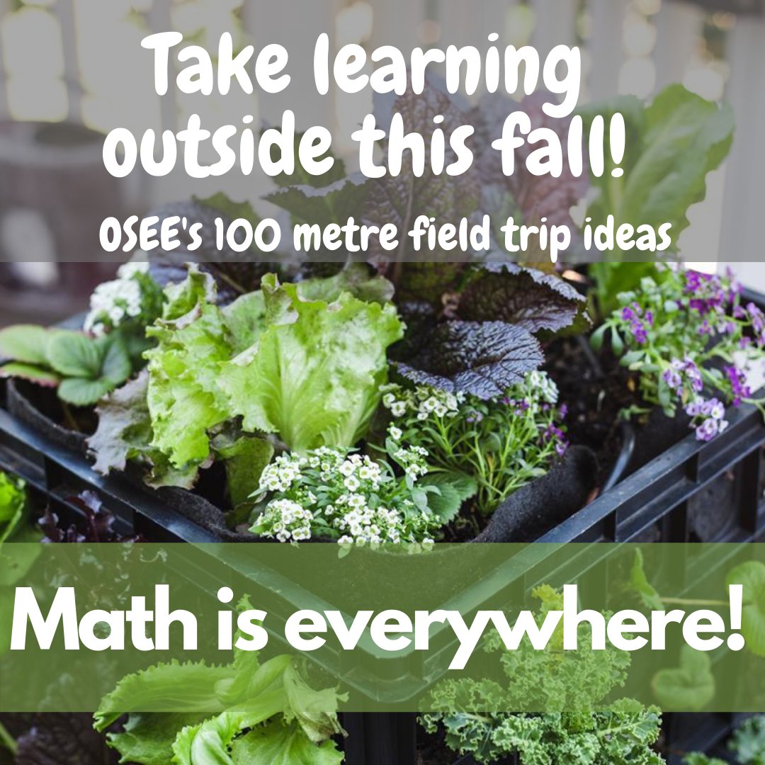 Math is everywhere!

This fall, let’s build strategies for taking learning outside to the school yard. Think 100m field trips – with no consent forms necessary! Go to our webpage for inspirations and ideas on how to take math outside: home.osee.ca/100-metre-fiel…