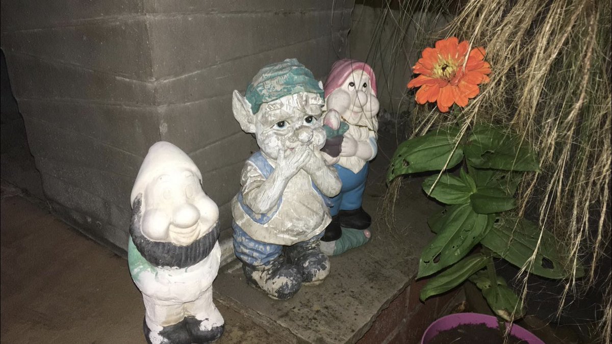 ecclesgnome's tweet photo. After a little accident which caused me to split in half I have had some rest and recoperation and feeling fine amoungst friends https://t.co/wE4f5lE9KD