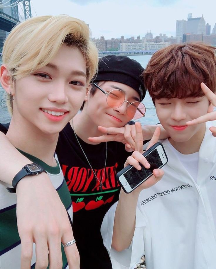 stray kids as cats in art, a thread: