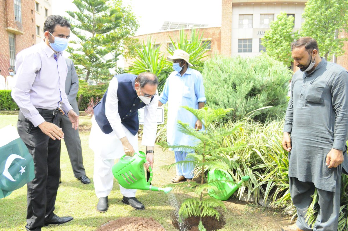 CUIofficial's tweet photo. COMSATS University #Islamabad celebrated #14August #IndependenceDay with flag hoisting ceremony and tree plantation drive commencement on Islamabad Campus @cuiisb #cuinews #CUIOFFICIAL #cui #COMSATS https://t.co/lbdAiVYC46