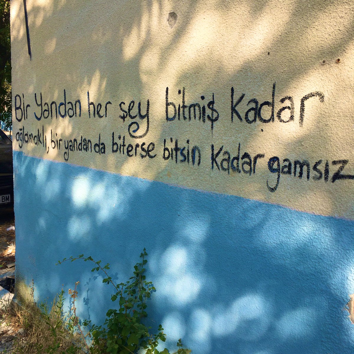 Ali Kurmaz (@kurrmaz) on Twitter photo 