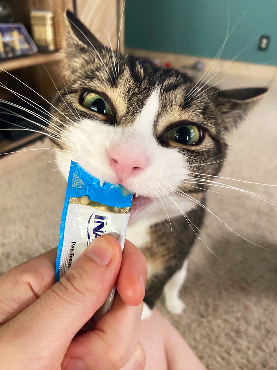 CokeZeroCat's tweet photo. i am emjoy'img. a Bit of. Personal   Treate's Time,  and Youm Should two :-) https://t.co/PrzK0hiZhT
