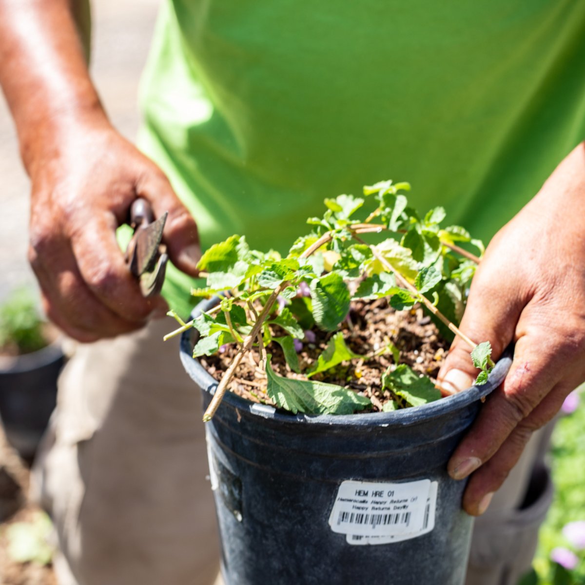 Getting our hands dirty pays off because we love the look our clients get once they see the final project.