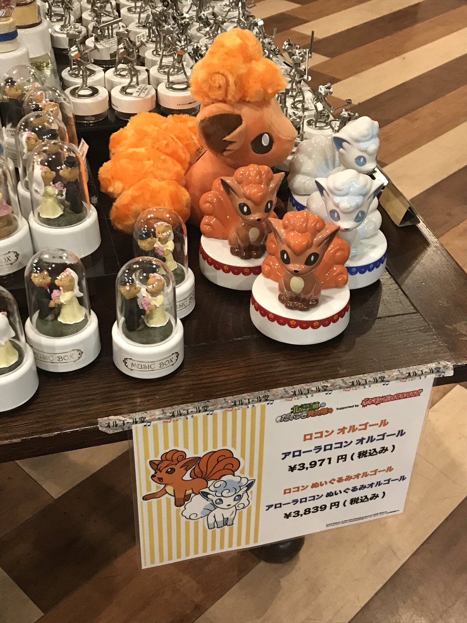 お気に入りの 小樽オルゴール堂 北海道限定 ぬいぐるみ アローラロコン