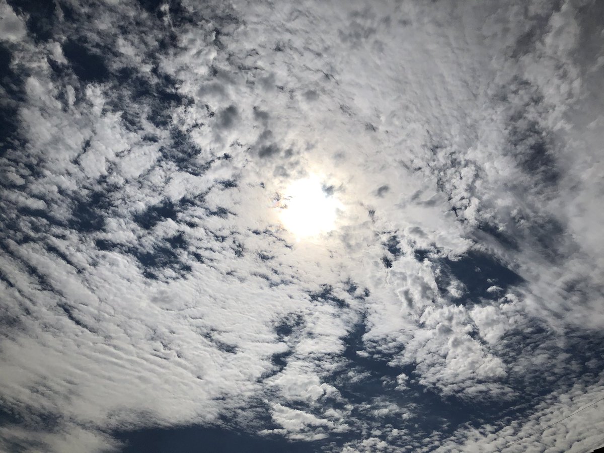 AlexSavidgeKTVU's tweet image. Muggy skies. Hot and humid out there...You ready for this?  #BayArea #HeatWave #StickyIcky