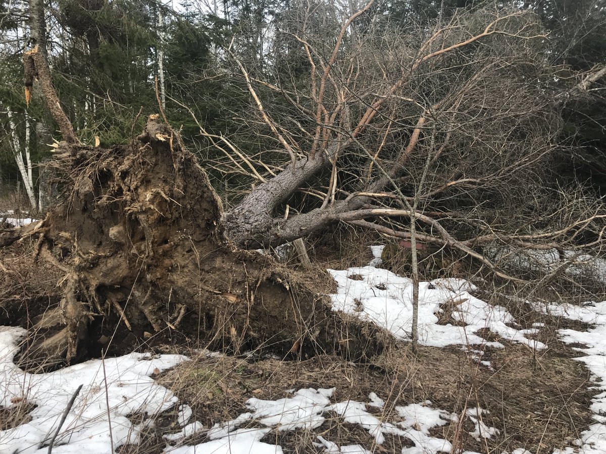 goodguyew's tweet image. 