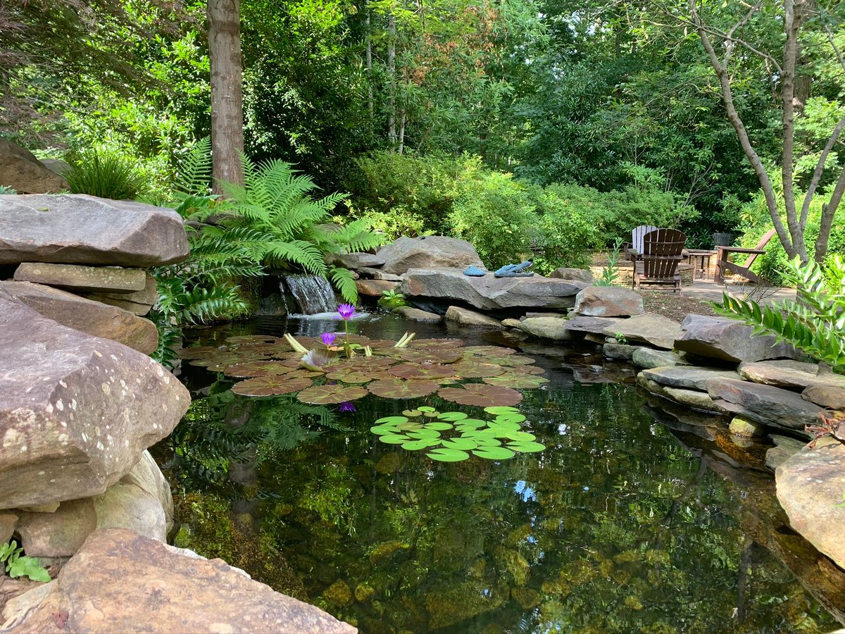 MorganLandscape's tweet photo. We hope everybody has a great weekend, enjoying what they love! #friday #summer #weekendvibes #backyardgoals #pond #waterfeature #landscapedesign #landscaping #flowers #charlottenc #keepingcharlottegreen #themorganlandscapegroup https://t.co/Hn1fMh6598