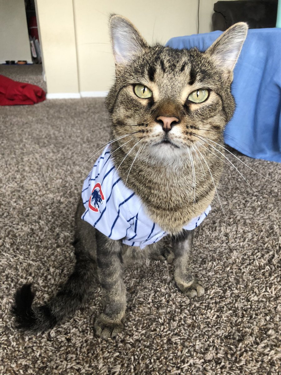 apkeeper23's tweet photo. Now up to bat for the @Cubs, Lt. Dan! https://t.co/SWwneBu1d7