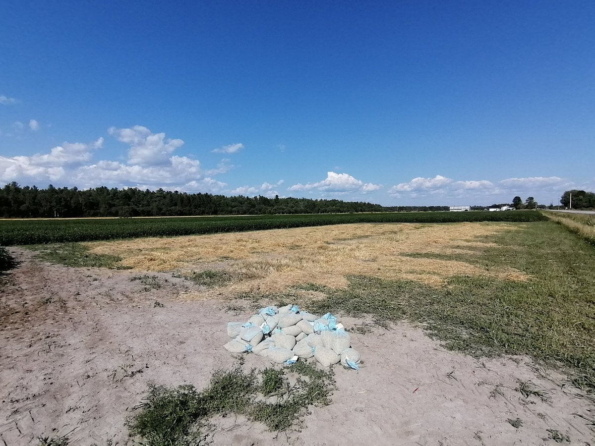 mindyinthedirt's tweet photo. Done in #Verner for the year!
No offense, but I'll be glad not to trailer equipment for a little bit.
#nlarsagronomy #nlars #harvest20 #maltbarley #solomissions https://t.co/plZOXoe46S