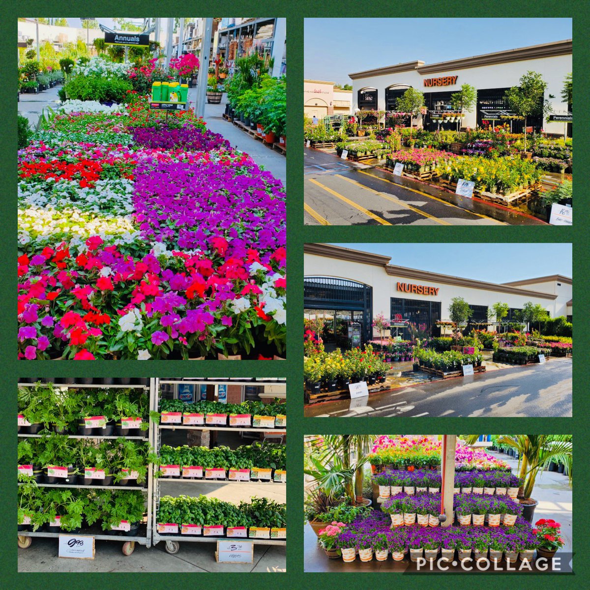 Edward Ruiz (@edward_1084hd) on Twitter photo Team 1084 ready for a fantastic weekend with great weather and great product! Shout out to Kate and teams for the awesome garden presentation! Eastvale Gateway is Ready!🤙🏻<a href="/LisaFerence/">Lisa Ference</a> <a href="/JamesIrvingTHD/">James Cook</a> <a href="/CuellarLauryn/">lauryn cuellar</a> <a href="/1084Depot/">Home Depot 1084</a> Team 1084 ready for a fantastic weekend with great weather and great product! Shout out to Kate and teams for the awesome garden presentation! Eastvale Gateway is Ready!🤙🏻<a href="/LisaFerence/">Lisa Ference</a> <a href="/JamesIrvingTHD/">James Cook</a> <a href="/CuellarLauryn/">lauryn cuellar</a> <a href="/1084Depot/">Home Depot 1084</a>