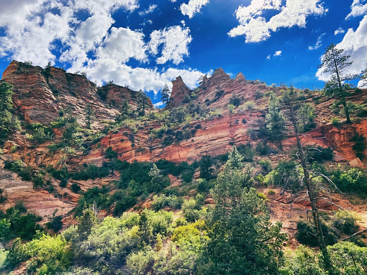 Jen_Yale7's tweet photo. “It is not the critic who counts; not the man who points out how the strong man stumbles, or where the doer of deeds could have done them better.” -Teddy Roosevelt, “The man in the arena” 1910

Zion, I needed that ☀️
.
.
.
#zionnationalpark #nature_perfection #teddyroosevelt https://t.co/cdzkPB0tjf