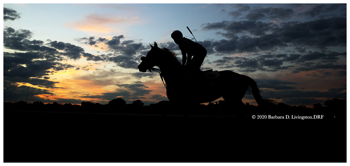 DRFLivingston's tweet photo. Alabama Stakes' contender SWISS SKYDIVER, trained by @KennyMcPeek , early this morning at Saratoga. The Alabama Stakes is run tomorrow here at the Spa.

@TheNYRA https://t.co/wqzlKHE0iH