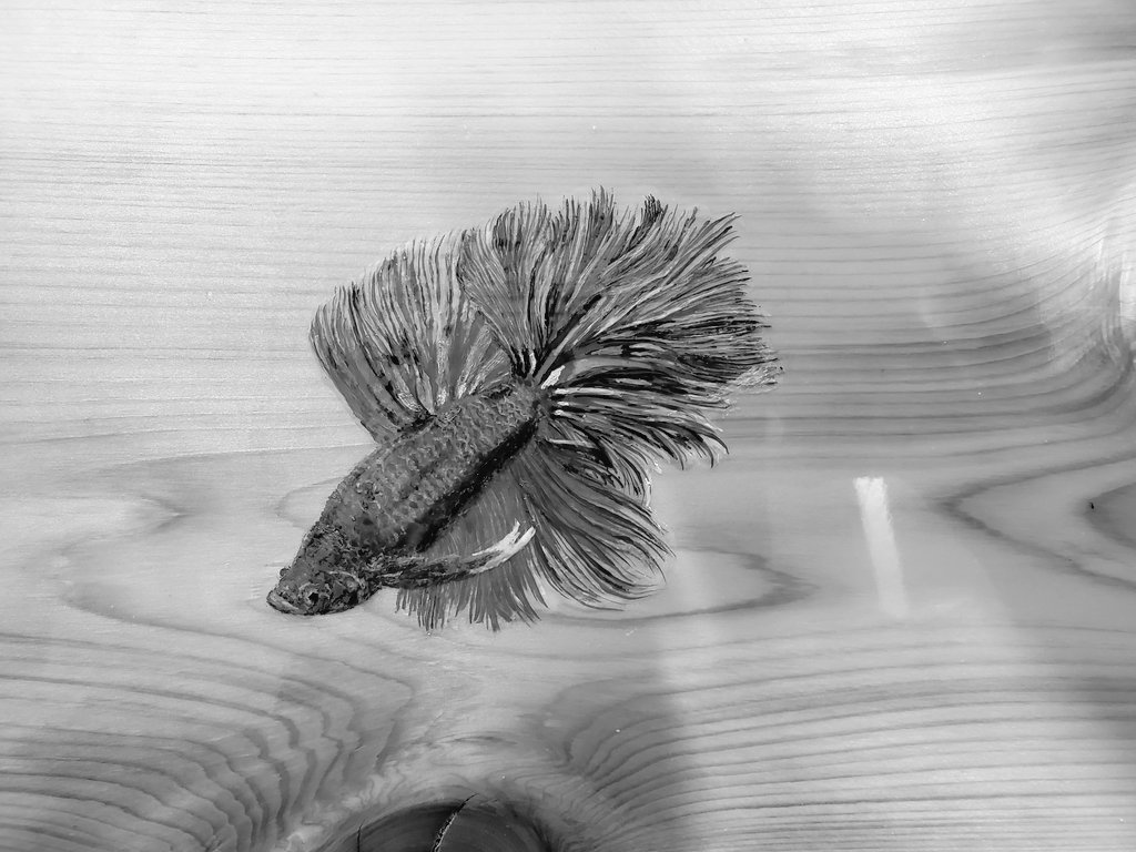 Efibass ベタさん カラーバージョン ベタ 金魚 熱帯魚 アート レジン 樹脂 無垢板 桧 イラスト デッサン