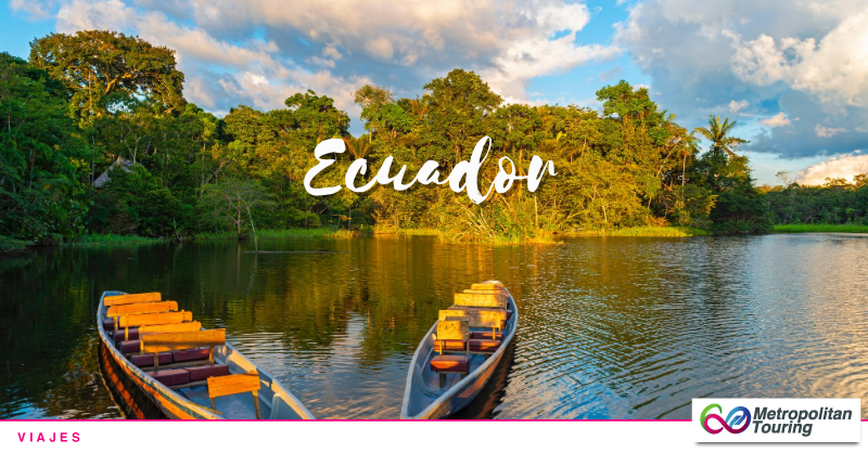 MetroTouringEC's tweet photo. Ecuador, un paraíso para la conservación de la fauna y flora silvestre.
Enamórate de Ecuador.

📸 Parque Nacional Yasuní

#TePrometoEcuador #Ecuador #viajar #vacaciones #descanso #familia #amigos https://t.co/lxXufh8E9J