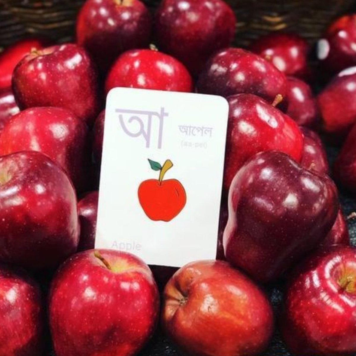 Did you know that Bangla is the 7th most spoken language in the world? #bangla #bengali #bengal #learn #books