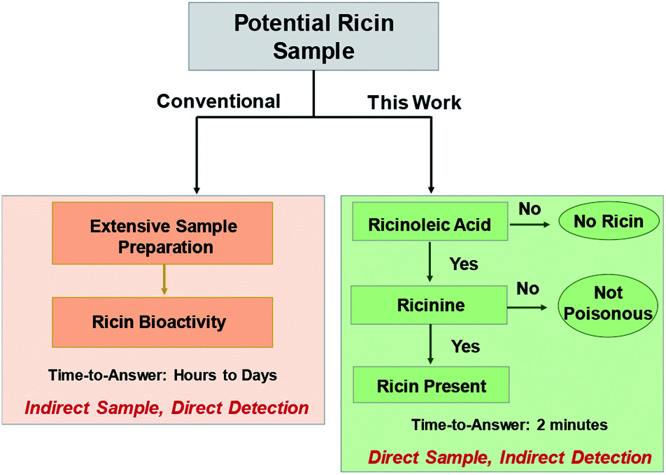 Well two, really good figures. Like I mentioned earlier, it takes a while for ricin to be detected. What I did was use two small molecules. The first, as a screening compound, to see if there was a POSSIBILITY for ricin to be in a sample. The second, was to confirm it.