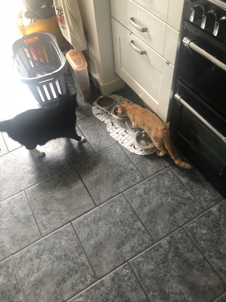 Steve Battlemuch tweet media