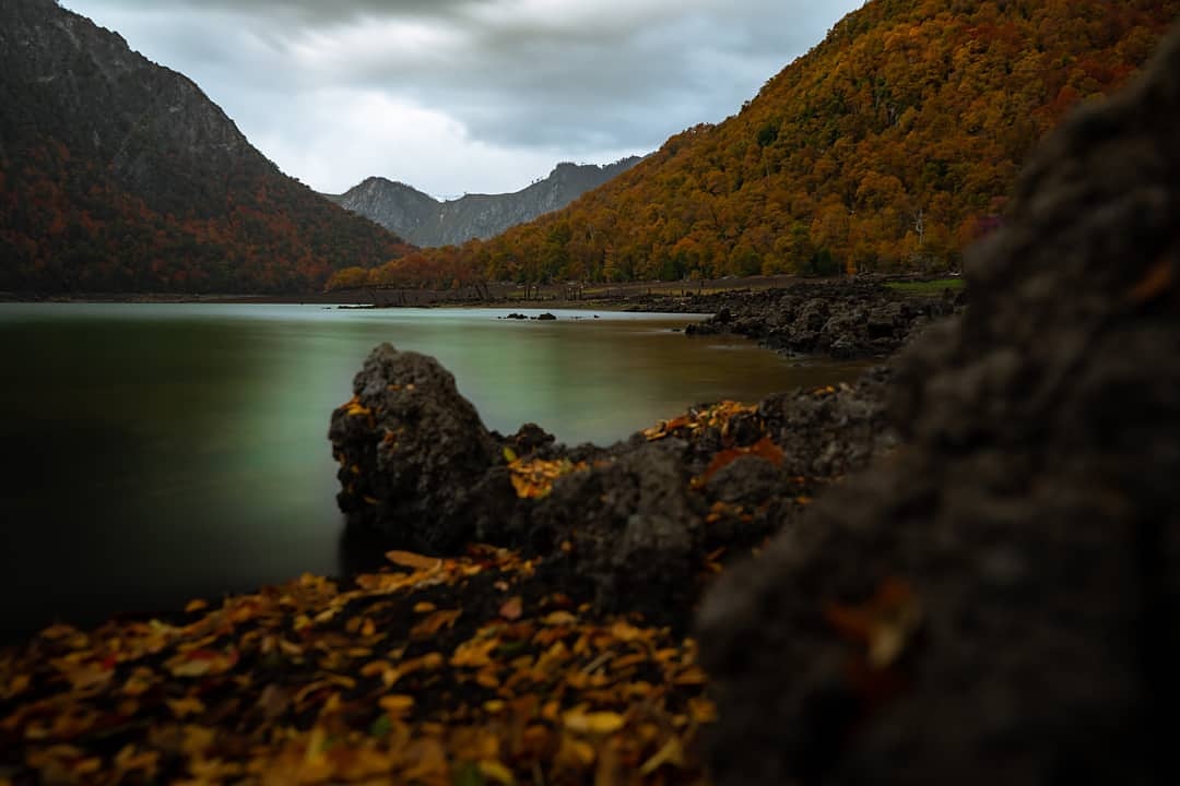 chilednorteasur's tweet photo. Parque Nacional conguillio
Insta: Chile.denorteasur https://t.co/DnjTFdVN3A