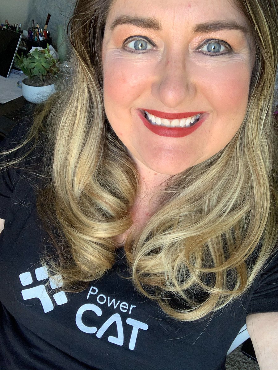 heddamaven's tweet photo. Ooh look what came in the USPS mail today. Love my #PowerCAT #PowerPlatform team #PowerAddicts #LessCodeMorePower #FlowFam #Community @MSPowerPlat https://t.co/kyMTCsx1dg
