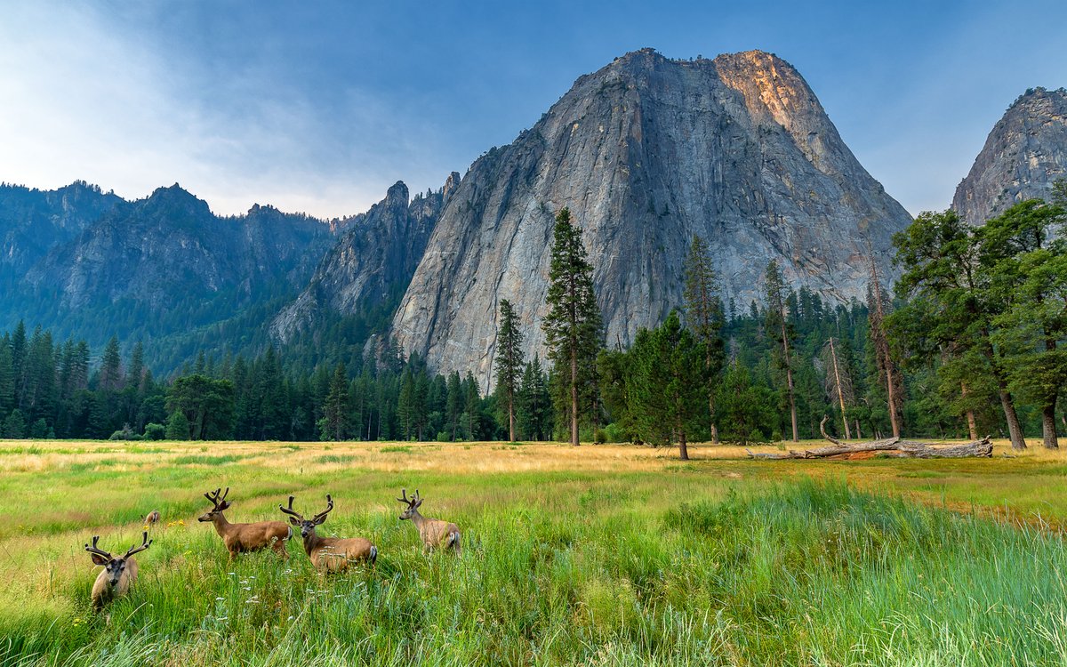 LonePineBooks's tweet photo. Have you managed to get out much this summer? Any places you're still hoping to visit before fall arrives? #travel #wilderness https://t.co/VY4NruoKCx
