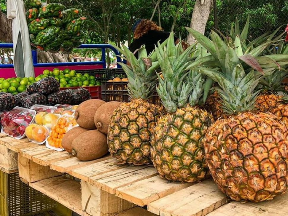 Bquillaverde's tweet photo. 🚛🥑Viverde sigue recorriendo la ciudad junto a #MercadoATuBarrio .

✅ Recuerda que apoyar la economía local de la ciudad es una acción que contribuye a la sostenibilidad ambiental, por eso con semilleros de hortalizas y aromáticas consentimos a nuestros compradores 🌱🌶. https://t.co/7aiwVLmfF9