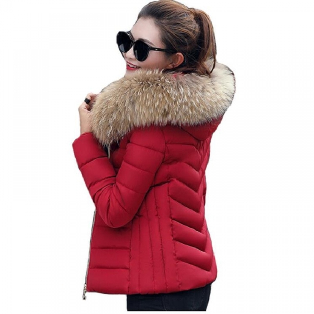Allsecretsales1's tweet photo. Women's Winter Fur Parka #gadgets #lightening #shoppings #shoppinglover https://t.co/H6xwHWbEeh https://t.co/7wl3IPHCrs