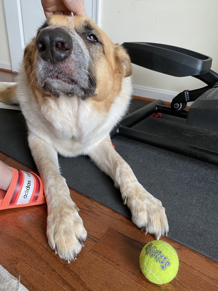 goodboywilson's tweet photo. möther pls thrœ båll https://t.co/QIHdPKt0YD