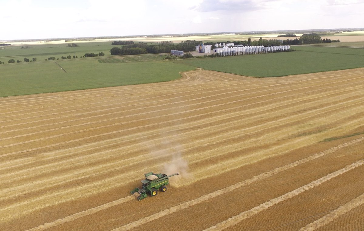 HetSeeds's tweet photo. And so begins #harvest20 , bringing in certified barley seed for #plant21. Success and safety to our farming friends through this busy season 😎 https://t.co/ZLz07H3kKo