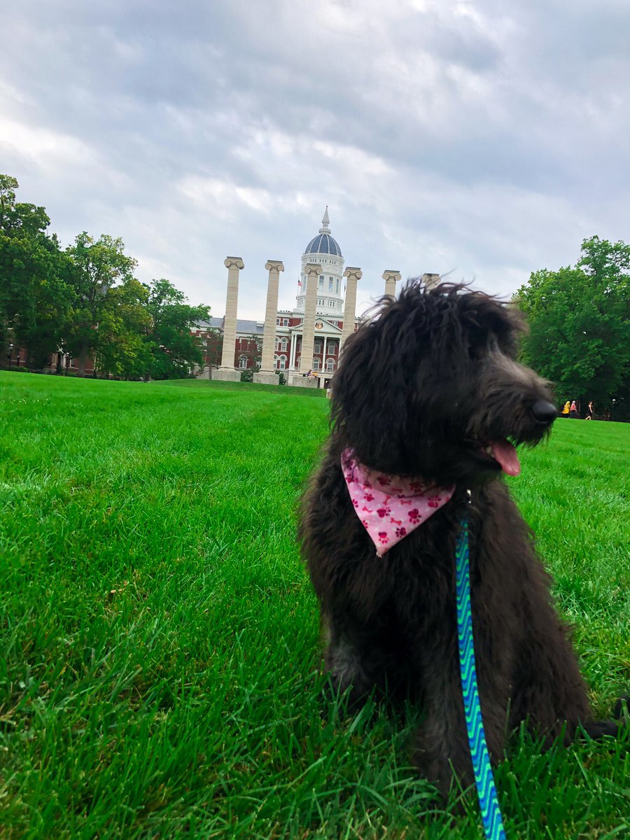 BarstoolMizzou's tweet photo. Pepper wants everyone to have a great #GoodBoyFriday https://t.co/DtjgfcoYia