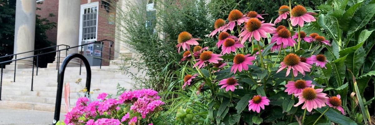 Newsletter for August 14, 2020 conta.cc/2FqUUva