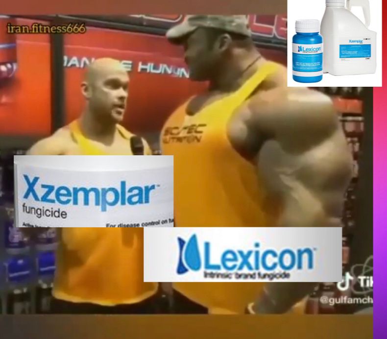 Rare pic of <a href="/BASFTurf_us/">BASF Turf US</a> Lexicon Intrinsic talking to Xzemplar fungicide!!!  Lol both will put turf disease in a chokehold and take them down for the count!!!