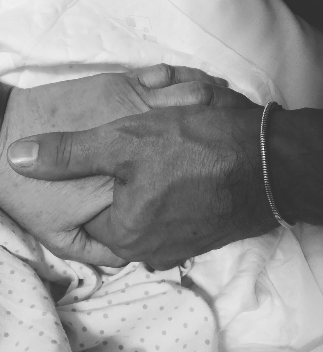 josé tobaruela tweet media