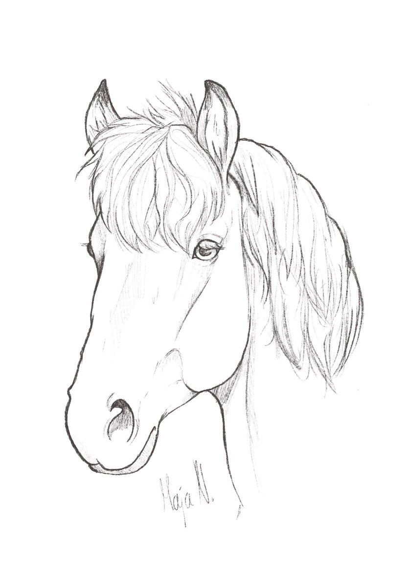 MajaConceptArt's tweet photo. Test drawing on my new iPad pro. I love it! #drawing #sketch #horse #horsedrawing #2dart #2artist #art #conceptart #ipadpro #icelandichorse https://t.co/3PMJBTjfFF