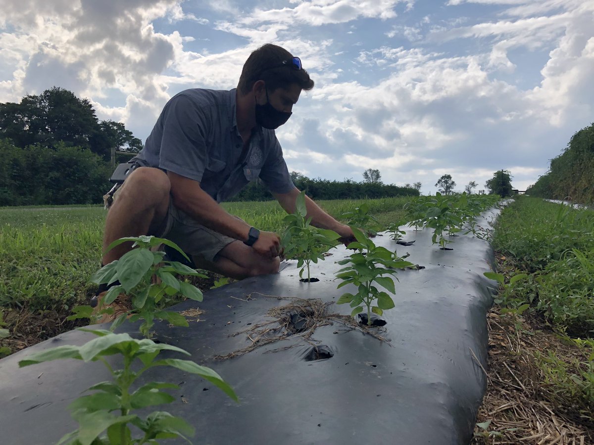 Tom Dempsey tweet media