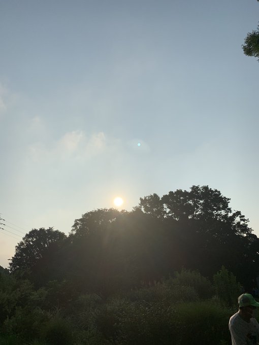 秋山幸重さん がハッシュタグ ロバート秋山 をつけたツイート一覧 2 Whotwi グラフィカルtwitter分析