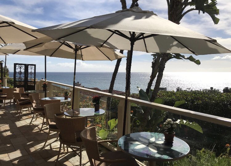GeoffreysMalibu's tweet photo. Natural beauty is the calling card at Geoffrey's Malibu.

🌎🐚🌴🌺🌊

Enjoy the magnificence of our world by simply reserving a table at our restaurant. 

Reservations 👉 https://t.co/iZqPyMkBdm https://t.co/205w1qiWW3