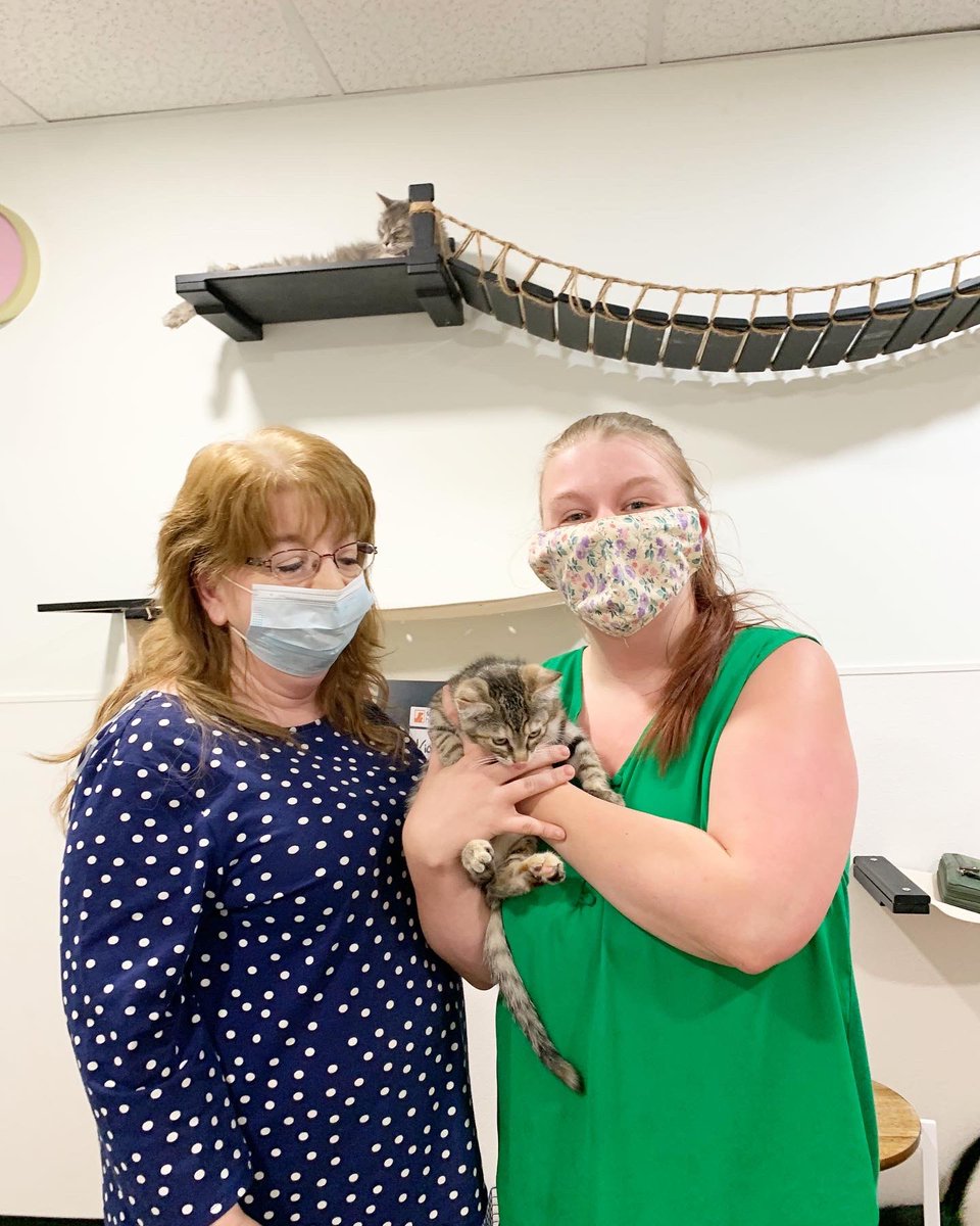 Sooo many sweet floofers found their forever homes at Bark Pub’s Grand Opening!