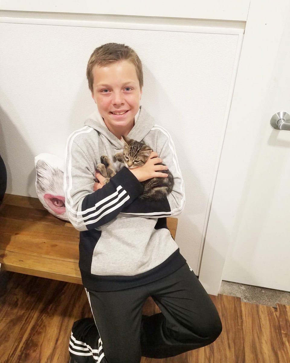 SpokaneHumaneSociety tweet media