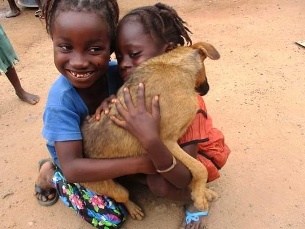 LiberiaAnimal's tweet photo. In communities where we work, the animals are happy, healthy and friendly because they are treated with love, care, kindness and compassion and considered as sentient beings.
#Animals #OneWelfare #Environment #AnimalsMatter #AnimalWelfare #HumaneEdcation #Education #Kindness https://t.co/r7WyWJkgco