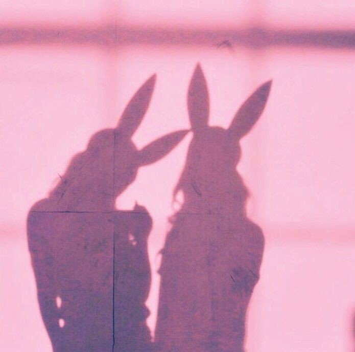 taexbg's tweet photo. - ¿Orientación sexual?
 #ExaBFF #ExaARMY @BTS_twt https://t.co/44WjRQexRO