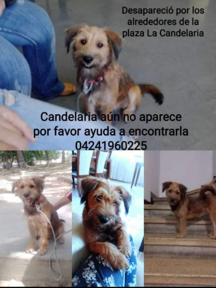 ATENCIÓN ATENCIÓN