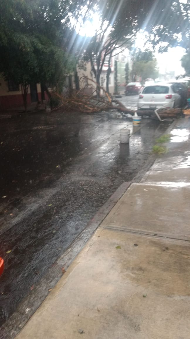 VecinalEnlace's tweet photo. @AzcapotzalcoMx hace meses metimos este SUAC. se nos pidieron casi $800 para quitarlo, hoy a naturaleza lo quitó solito. Por suerte no hubo heridos https://t.co/zz9oXQMNyt