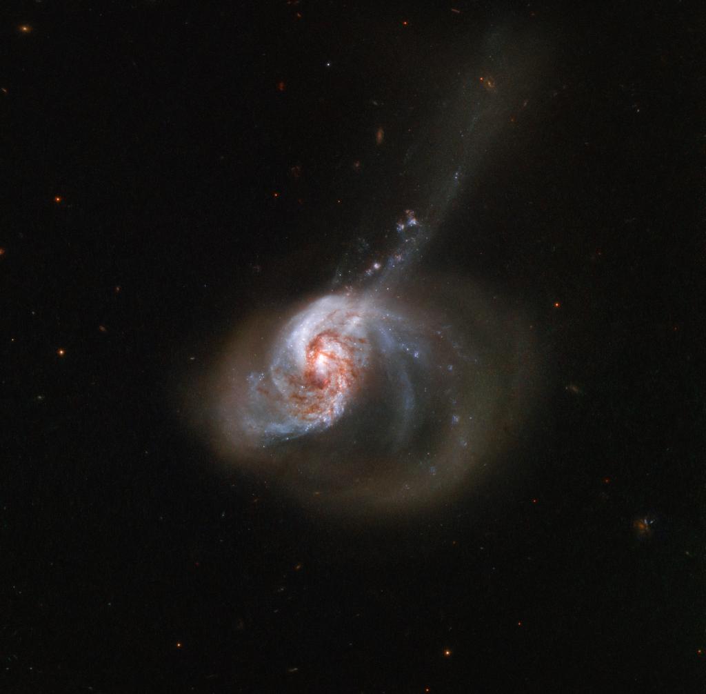 NASA's tweet photo. Peculiar, eccentric, and beautiful: that’s what we call this galaxy that dazzles from about 200 million light-years away. Captured by @NASAHubble, it’s actually two galaxies merging to become one: https://t.co/IDccijdXrw https://t.co/md6WnD61lT