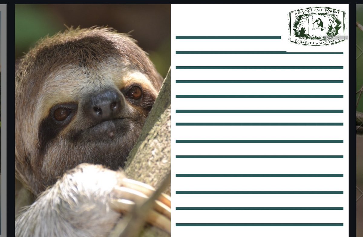 FVachhiat's tweet photo. Using @canva to create my worksheets for the Rainforest topic. Loving the templates! #postcardwriting #year4 #rainforests #creativecurriculum #topic @AHTMrsNettey @enrichment_rb https://t.co/xcMgcYBhsf