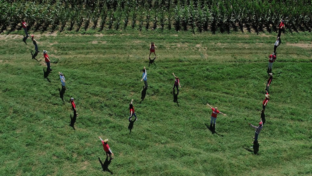 Field Corn tweet media