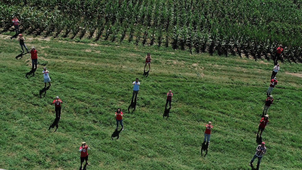 Field Corn tweet media