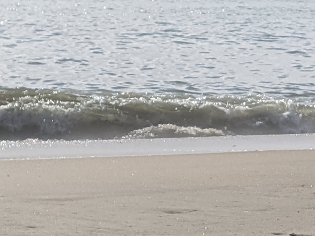 momma_puff's tweet photo. Missing the sand and ocean today
#rehobothbeach #beachtherapy https://t.co/CvpXYyjWxs