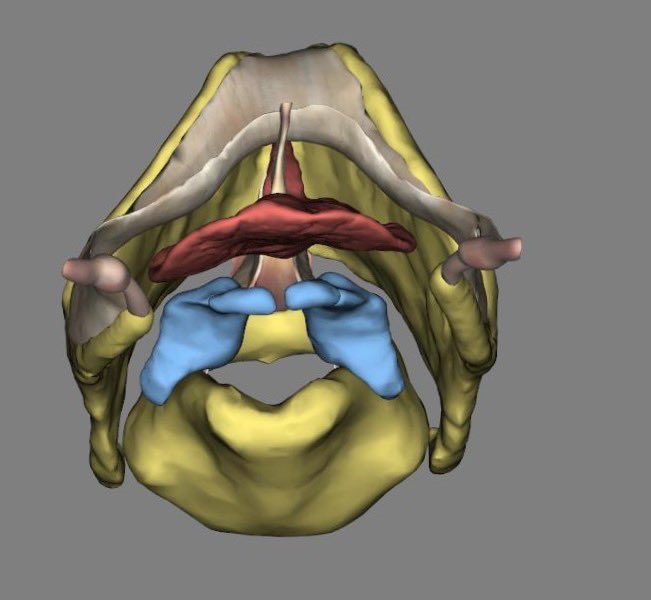 Mid-State Technical College EMS Education tweet media